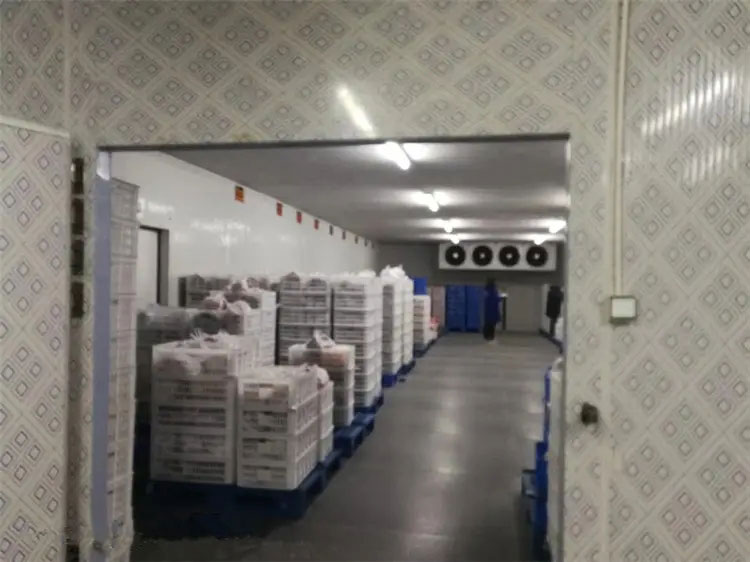 建設(shè)大型食品低溫冷藏庫工程安裝影響費用的條件因素